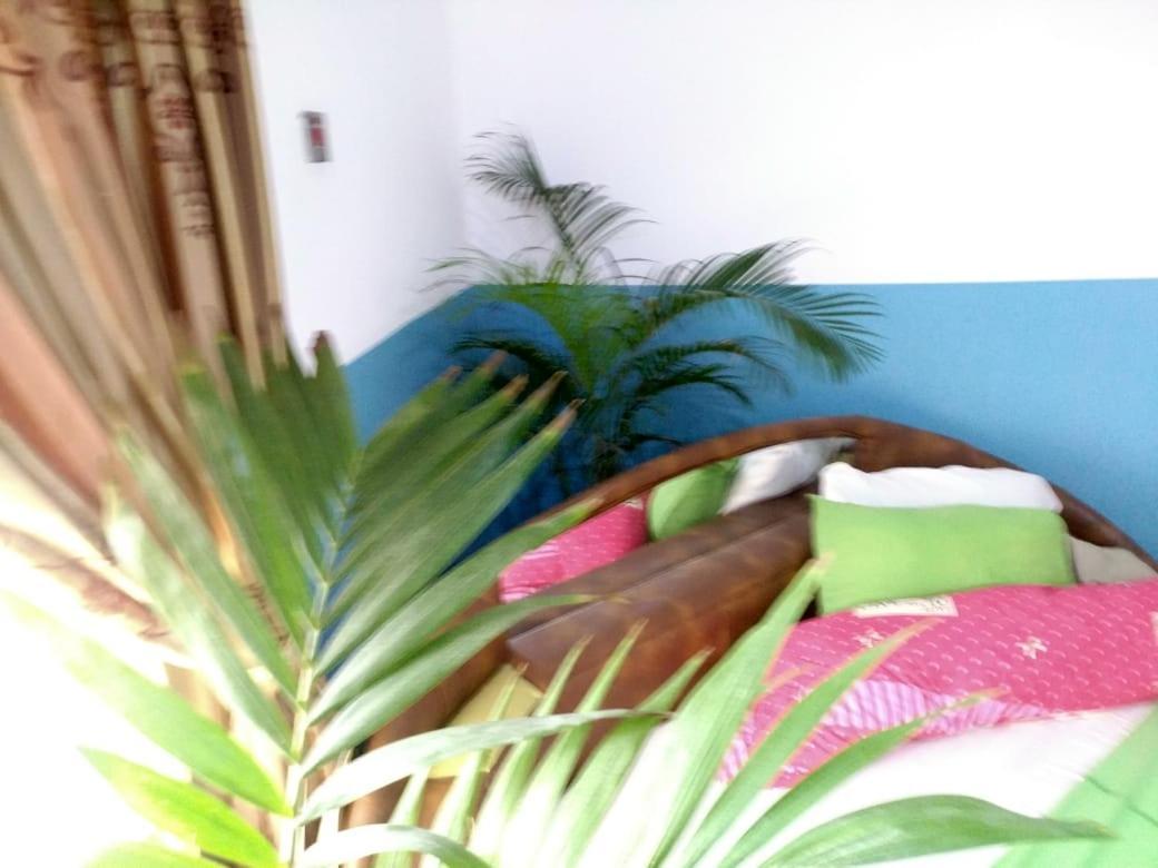 Elizz Guest House Janman エクステリア 写真